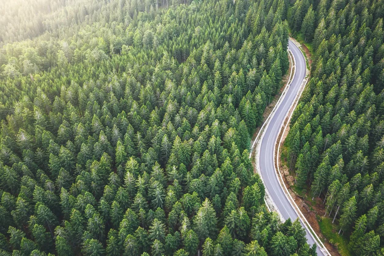 How to Start a Change? First Steps to Transforming Your Life